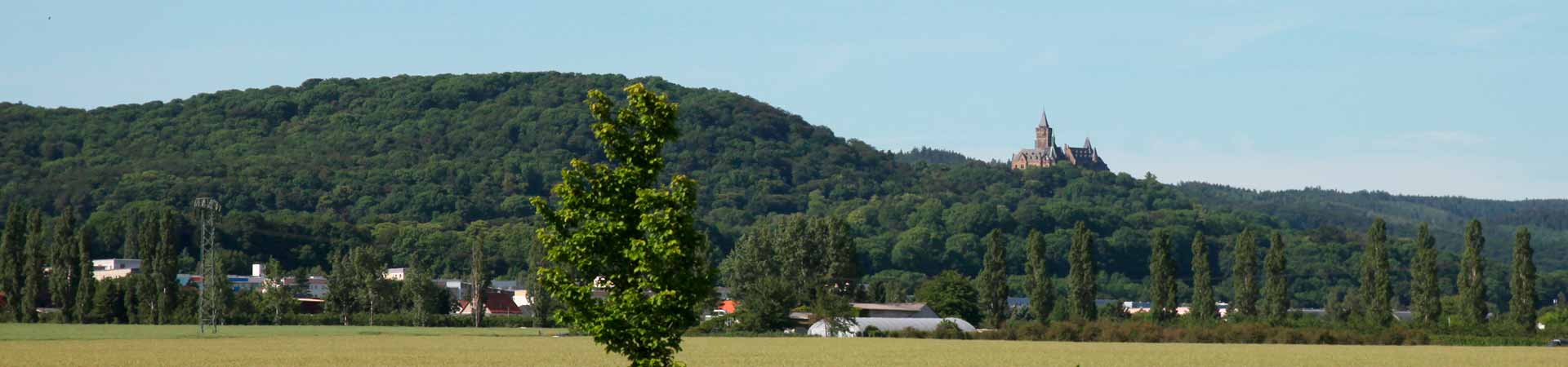 Lage Ferienhaus Giesela Fewo im Harz